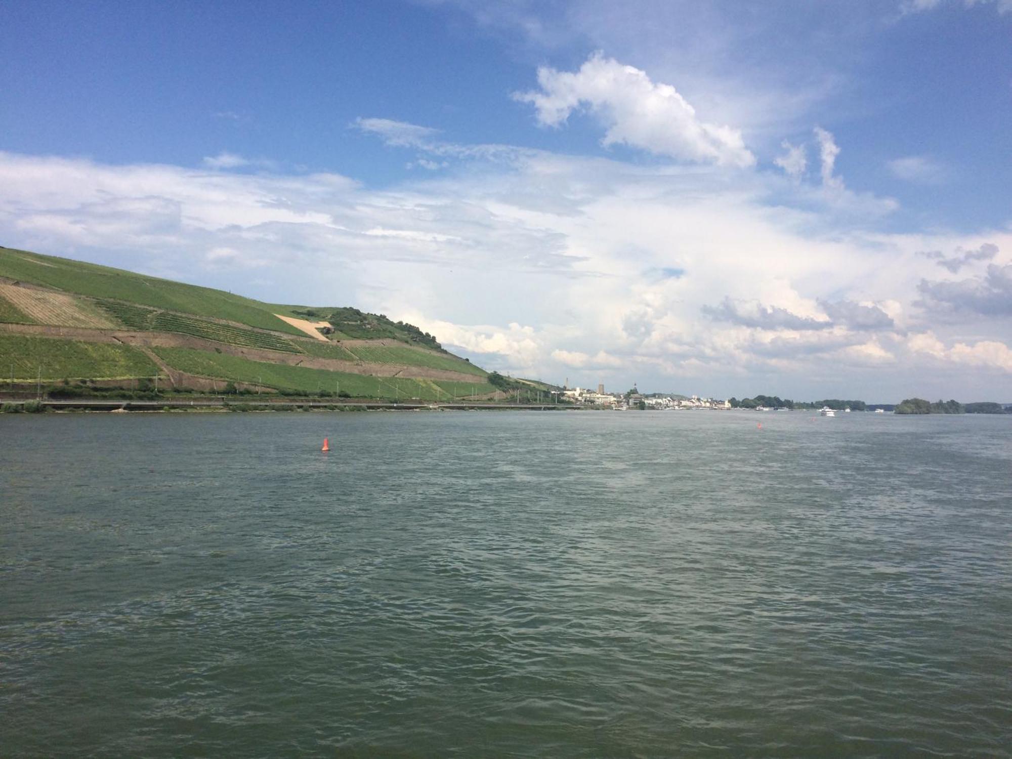 Haus Am Weinberg Leilighet Rüdesheim am Rhein Eksteriør bilde